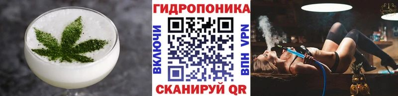 нарко площадка официальный сайт  Шумерля  Canna-Cookies конопля  OMG ССЫЛКА 