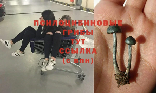 герыч Абинск