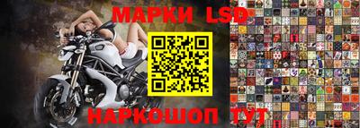 скорость Заволжье