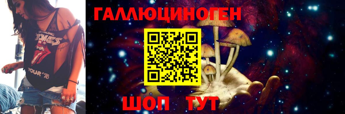 Галлюциногенные грибы Psilocybe Шумерля
